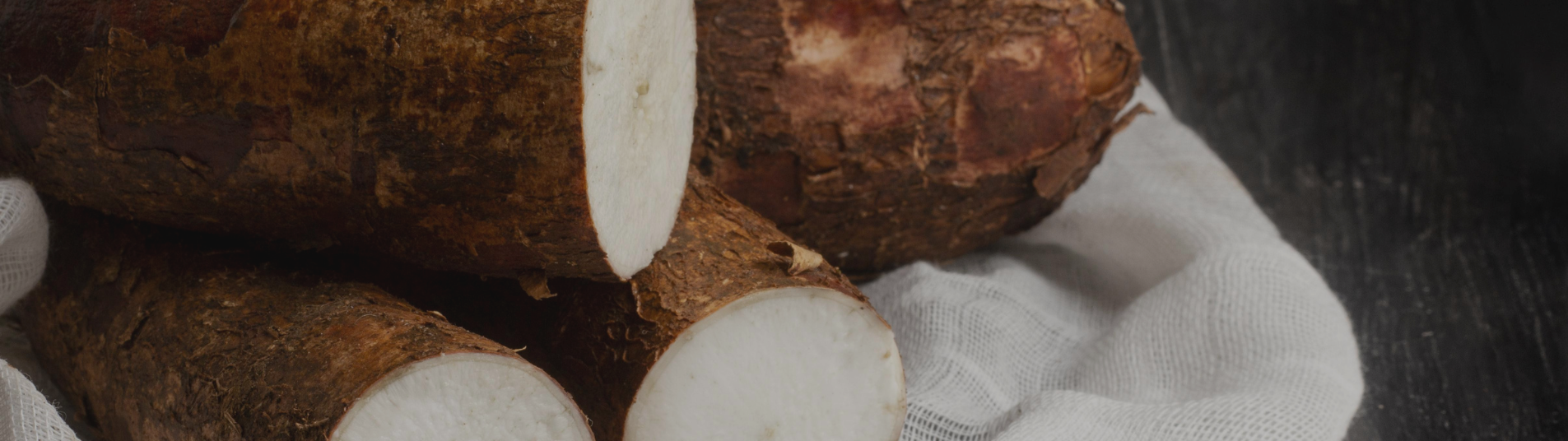 Manioc